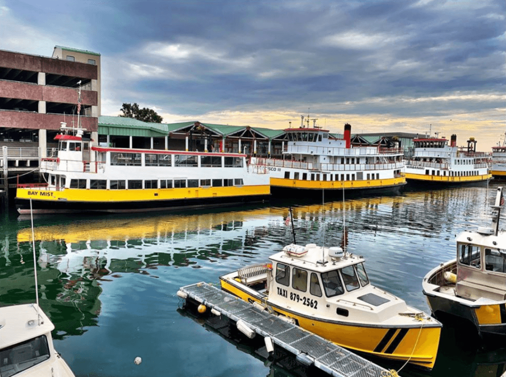 Casco Bay Lines Portland, ME - flyte new media