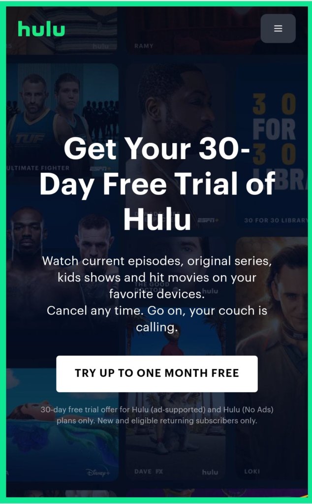 Hulu Mobile View