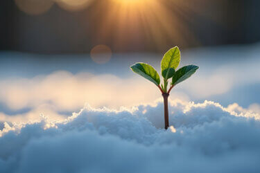 How Long Do Digital Ads Take to Work - flyte new media