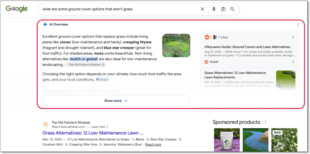 AI Overview - flyte new media
